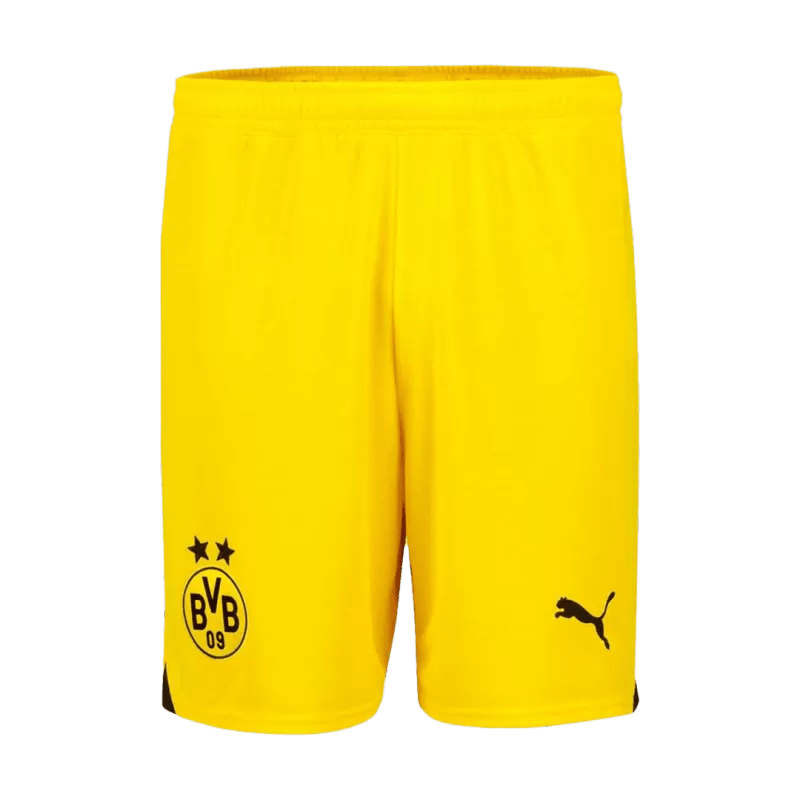 Borussia Dortmund 23/24 Auswärtstrikot Kinder Kit