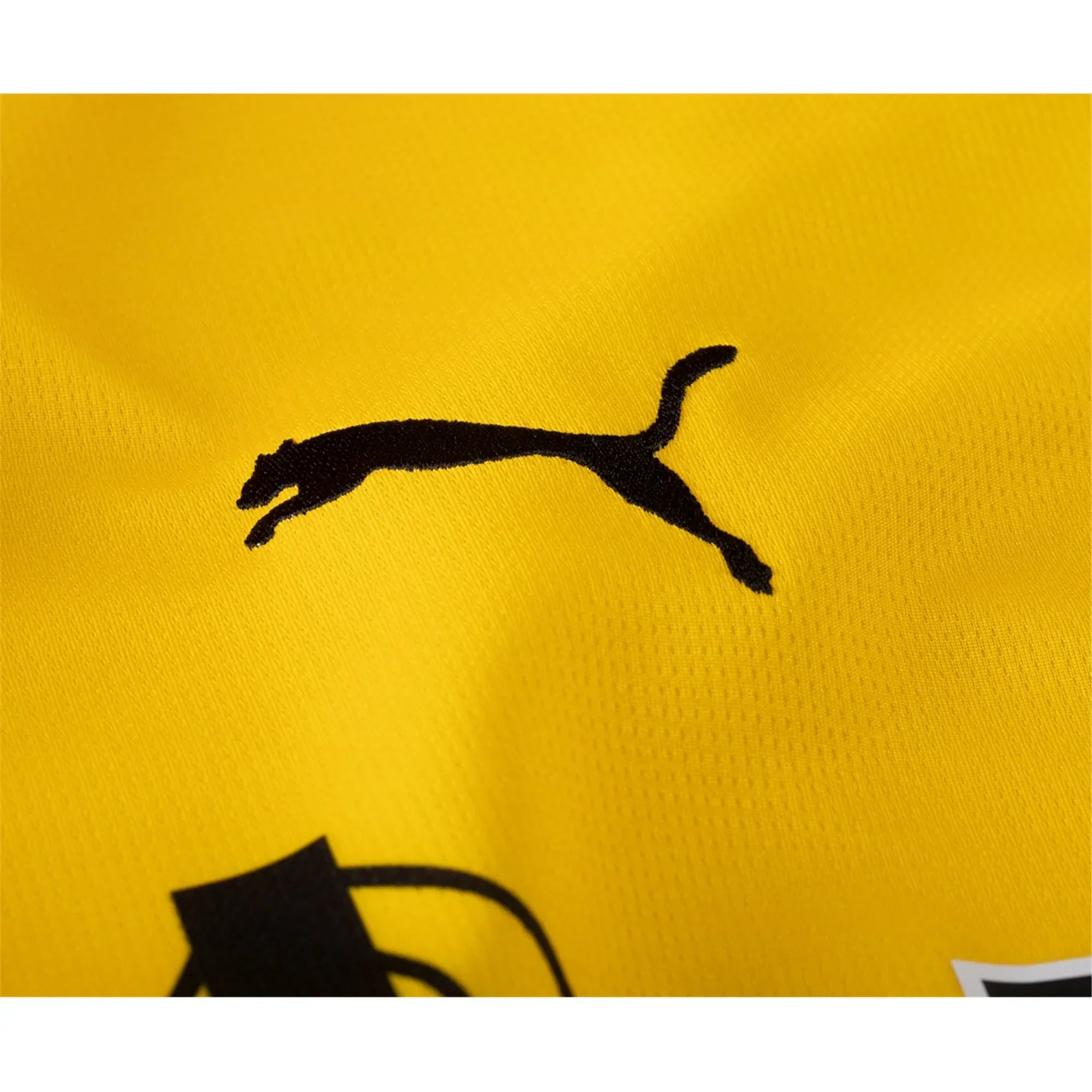 Borussia Dortmund 23/24 HEIMTRIKOT