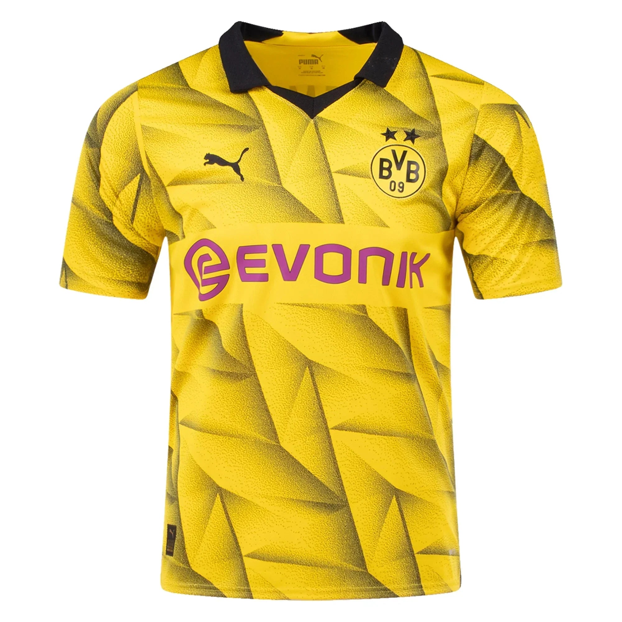 Borussia Dortmund 23/24 SPECIAL UCL