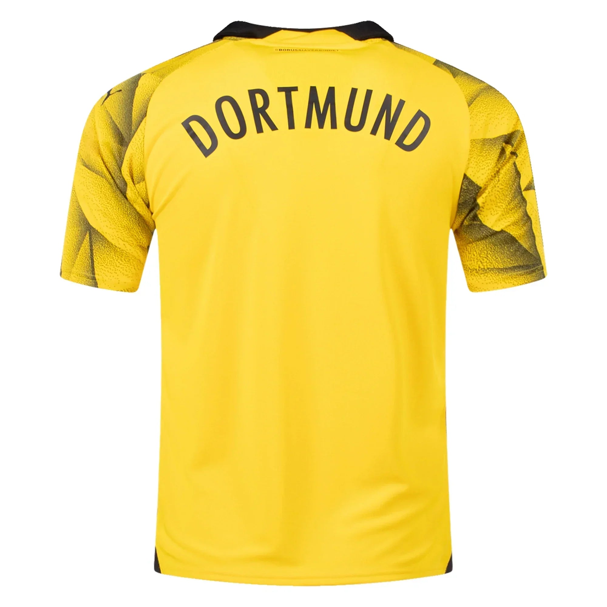 Borussia Dortmund 23/24 SPECIAL UCL