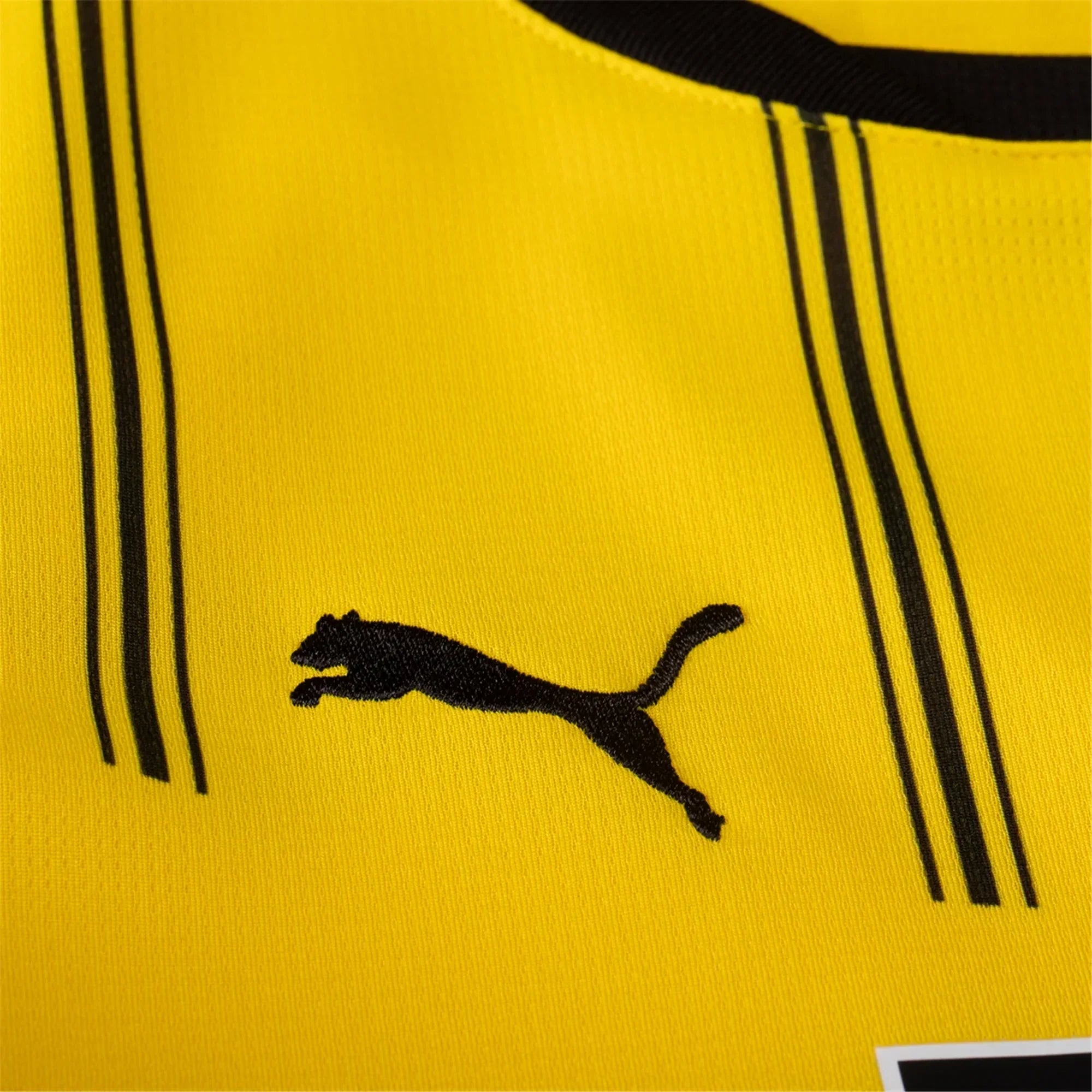 Borussia Dortmund 24/25 HEIMTRIKOT